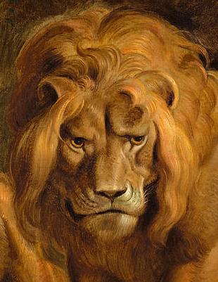 Leonen pit of lions peter paul rubens